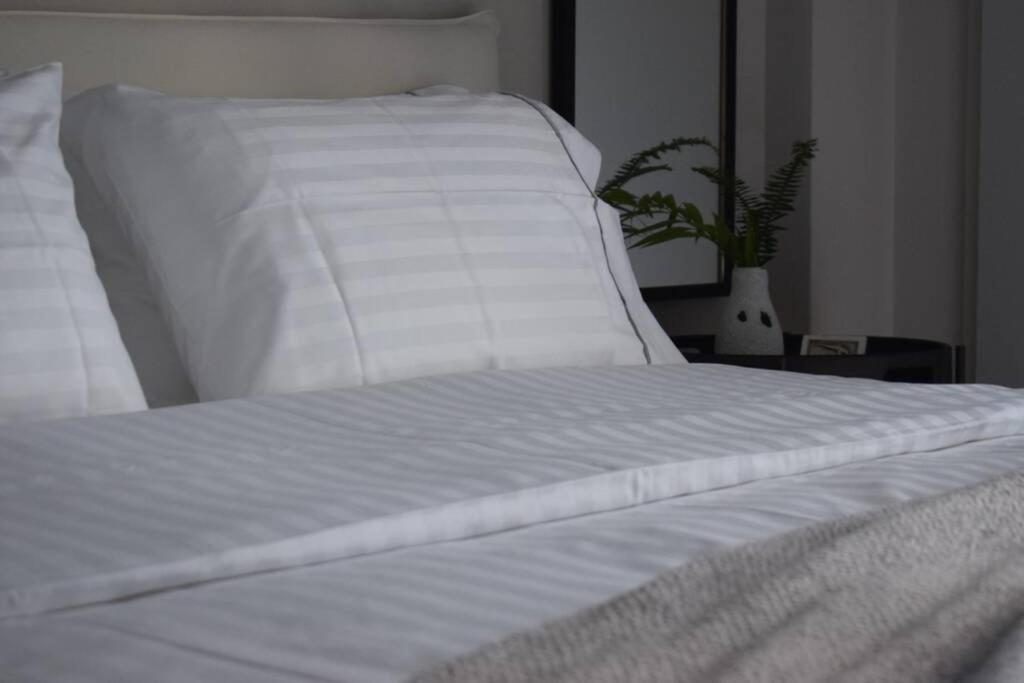 Ockto Luxurious Business Travel Apartment 雅典 外观 照片